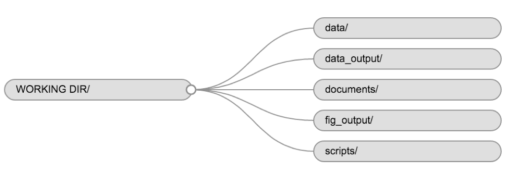 Structure of a Working Directory, with folders for data, data output, documents, fig output, and scripts