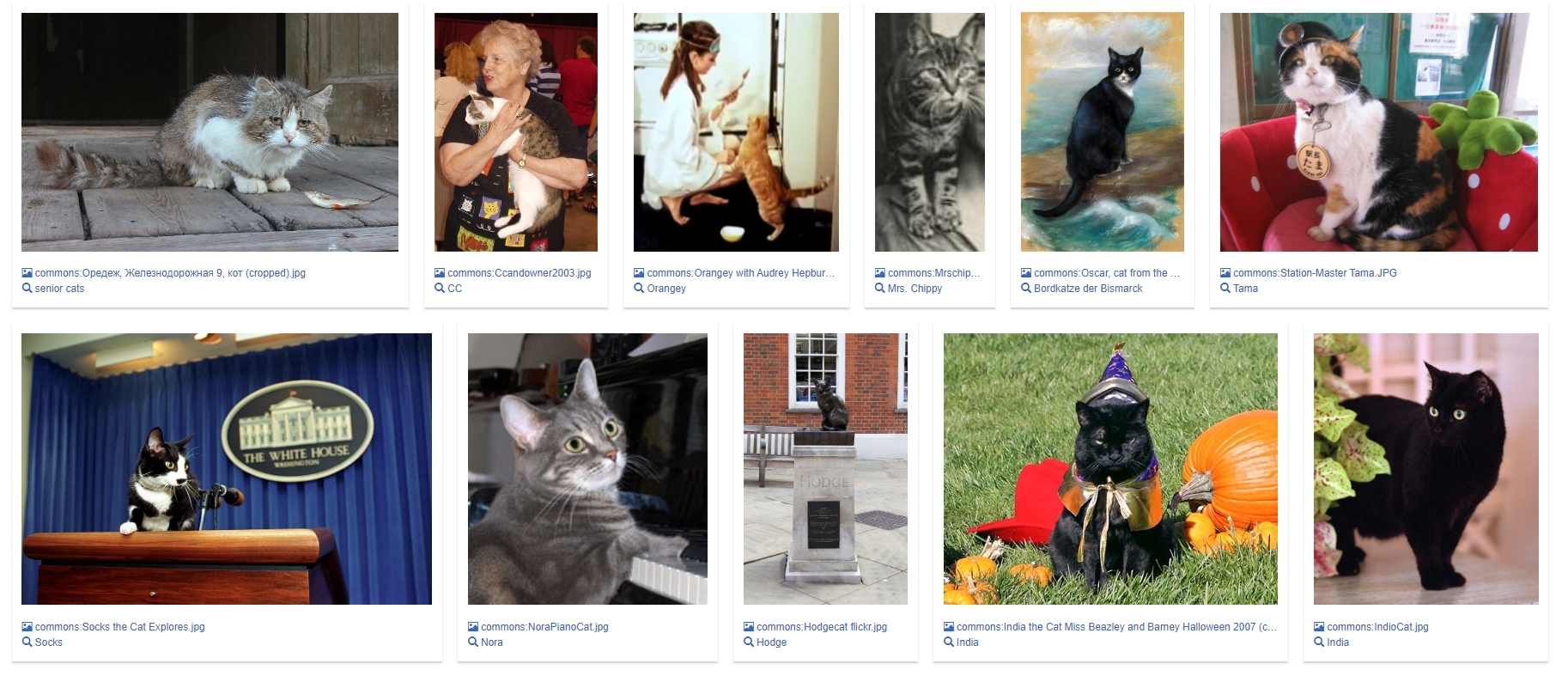 Example of displaying cats in grid format